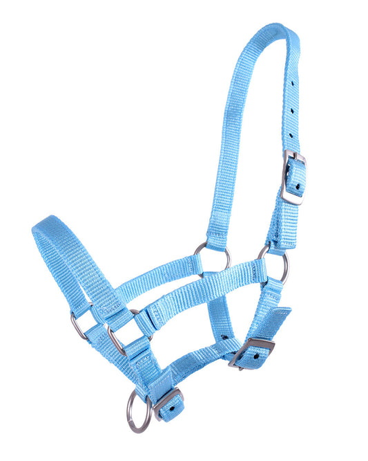 Foal Halter Baby Blue