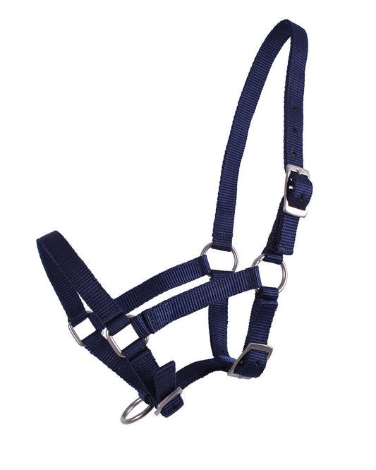 Foal halter dark blue