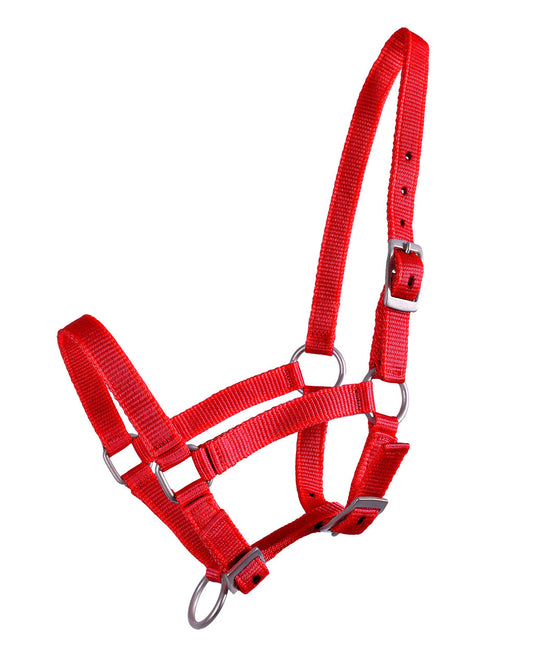 Foal Halter Red