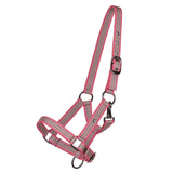 Halter Foal Collection Almond