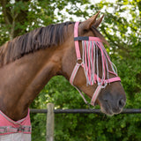 Fly browband Collection ZigZag