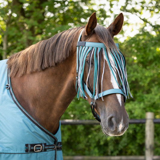 Fly browband Collection ZigZag