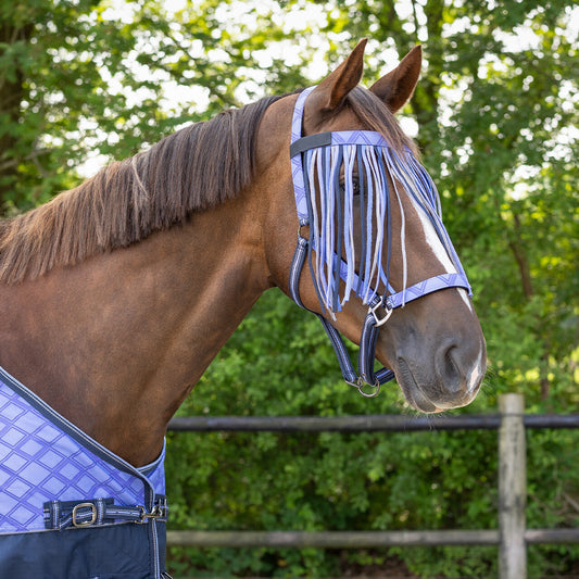 Fly browband Collection ZigZag