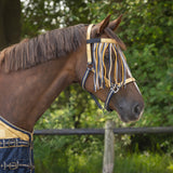 Fly browband Collection ZigZag