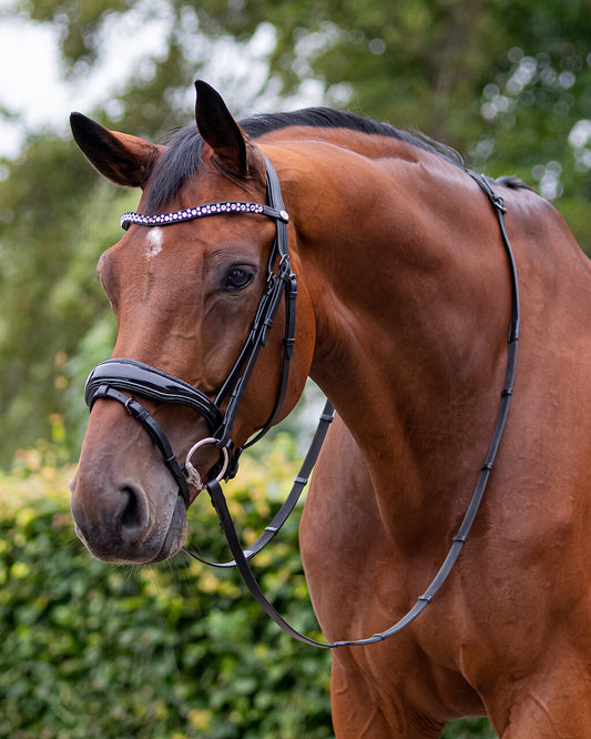 Hoofdstel Orlando Zwart