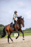 Mrs. Ros Seamless Riding Breeches Lavender Fields Green