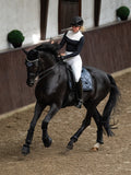 Equestrian Stockholm Saddle Roof Winter Shadow